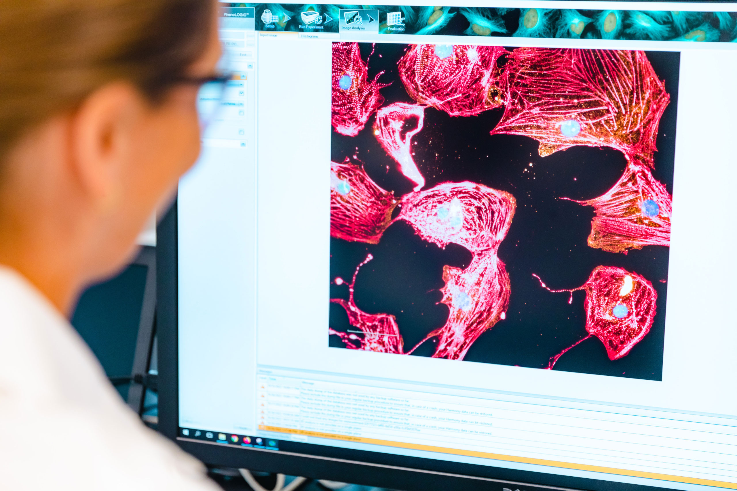 Female scientist looking at a computer screen with an image of cells in red and blue with a black background.